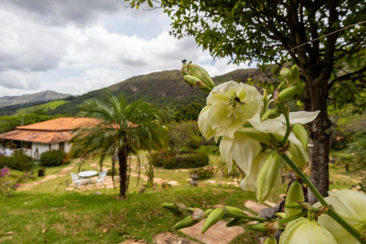 Altamira Eco Retreat Hotel Exterior photo